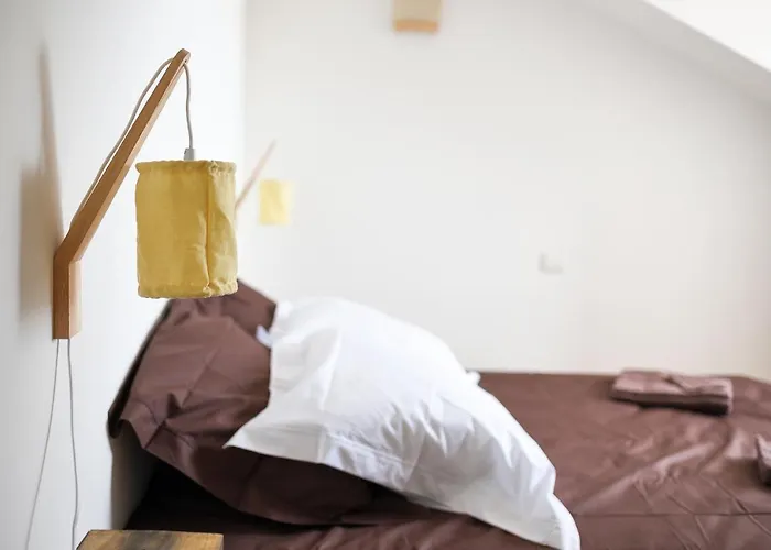 Charmand Duplex Avec Vue Sur La Cite & Les Toits * Каркассон